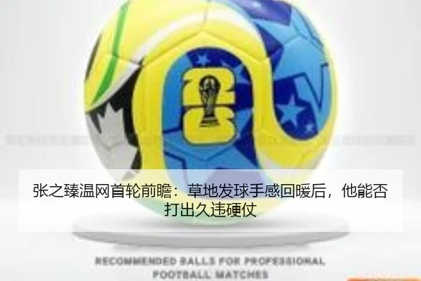 张之臻温网首轮前瞻：草地发球手感回暖后，他能否打出久违硬仗